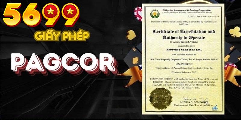 Quy trình cấp phép Pagcor chi tiết